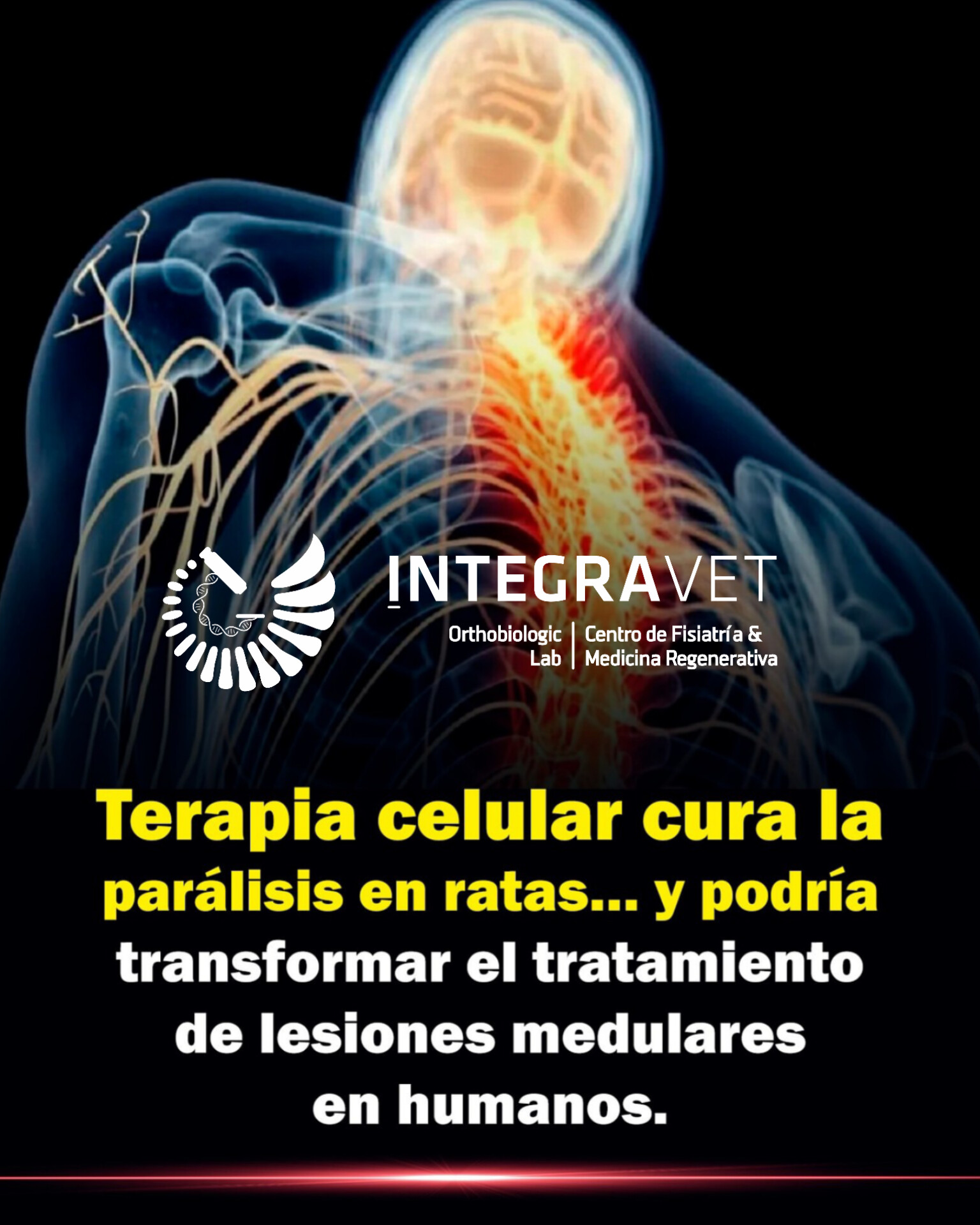Terapia Celular en patologías neurodegenerativas
